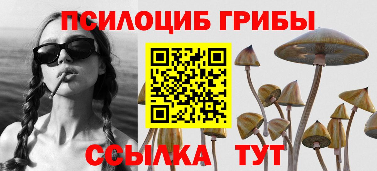 цена   Вход с VPN  Муравленко  Псилоцибиновые грибы прущие грибы  Псилоцибиновые грибы ЛСД 